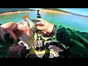 Fishing 1 of California's Best Bass Fisheries