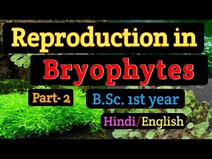 BSC first year/ Msc Botany/Reproduction in Bryophytes/Vegetative reproduction in Bryophytes/ Gemmae