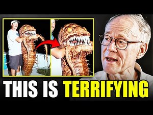 Scientists Reveal Cameras Captured Real Footage of the STRANGEST Deep Ocean Creatures!