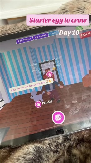 Starter egg to crow day 10! @Adopt Me! #adoptme #adoptmeroblox #robloxfyp #goingfromstartereggtocrow #foruyou #poortorichadoptme #crow