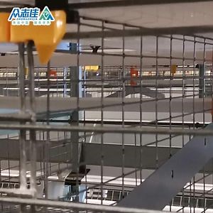 [Hot Item] Auto Battery Cage for Chicken Egg Layer Cage Poultry Farm Poultry Chicken Feed House