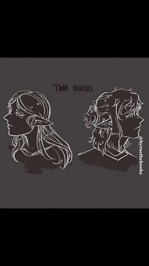 Two Birds Animatic: Zelda & Link Comic | Breath of the Wild