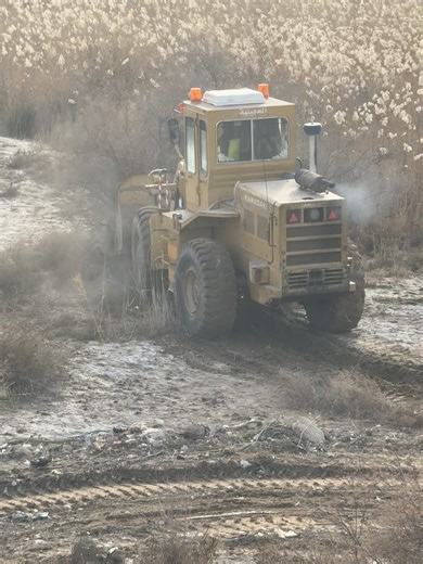 ‏#شفلات_كاوسكي #العجيليه