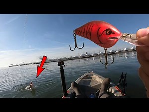 Rapala DT-10 Crankbait Fishing for LAKE MONSTERS!