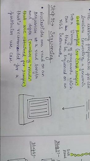 next generation sequencing workflow or basic steps of sequencing 🧬🧫