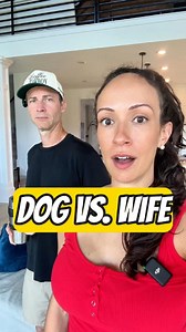 2.8M views · 78K reactions | Things you can say to your dog but not your wife #meettheharrisons #theharrisons | Michael Harrison | Facebook