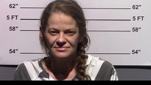 Two suspects held in Gillespie County Jail following theft crackdown