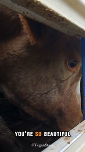 5.2K views · 311 reactions | Compassionate citizens held a Melbourne...