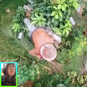 5.5M views · 45K reactions | Amazing Man Cutting Coconut Trees | Jimmy Mounis | Facebook