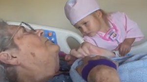 Golden retriever gets an ocean performance from a pod of dolphins