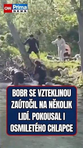 👀🦫 Bobr nakažený vzteklinou pokousal v New Jersey několik lidí včetně osmiletého chlapce.