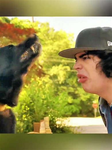 Swiss Ski Resort Bar Explosion and Fire Kills 40