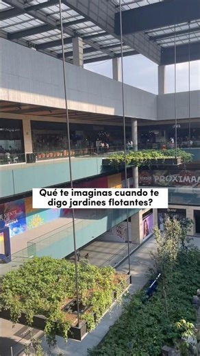 Jardines Flotantes #arquitectura #arquitectos #jardines #jardinería #plantas #fyp #foryou #paisaje