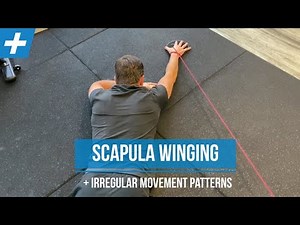 Exercises for Scapula Winging and Irregular Shoulder Movement - Pt. 2 | Tim Keeley | Physio REHAB
