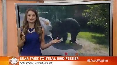 Before the big story became Hermine, our most viral videos of the week included a tornado at sunset, a twister demolishing a building in Russia, and a mischievous bear. | AccuWeather