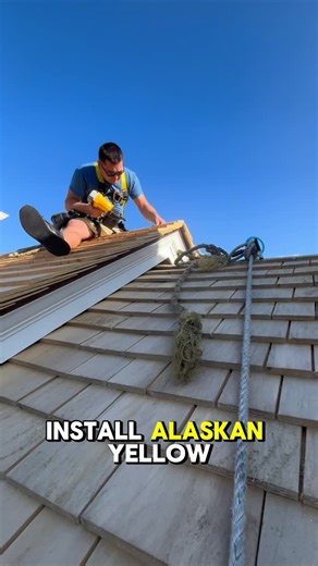 What a stunning project! Alaskan yellow cedar shingles Plum ProExteriors = pure perfection 💛 | Plum ProExteriors