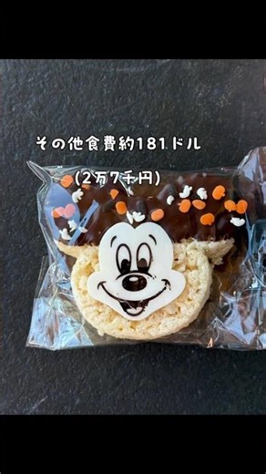 【アウラニディズニー費用大公開】これから行く人へ役立ちますように✨#ディズニー #hawaii #ハワイvlog #休日vlog #社会人vlog #ハネムーン#新婚旅行#aulani