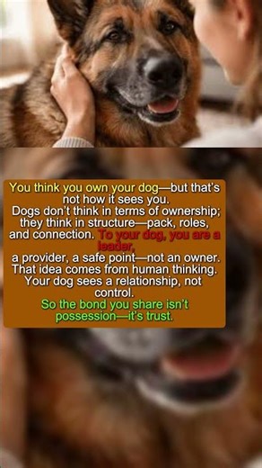 Your Dog Doesn’t See You As Owner #dogpsychology