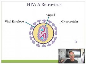 Retroviruses