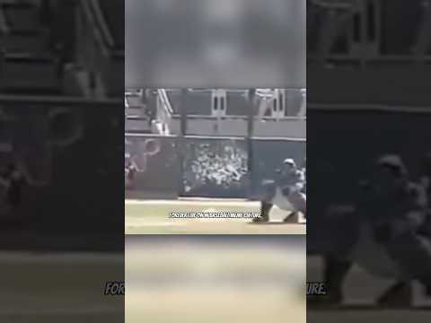 MLB One in a Trillion Plays