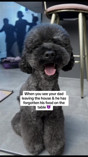 Dad's Hilarious Food Forgetting Moment with Dogs