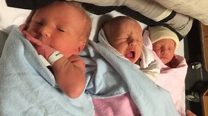 36K views · 2.1K reactions | Throwing it back to when the triplets were just shy of a day old! Still cannot believe they are two. ❤ | The Baby Gang | Facebook