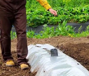 Awesome ways to run your garden! | Green Bean