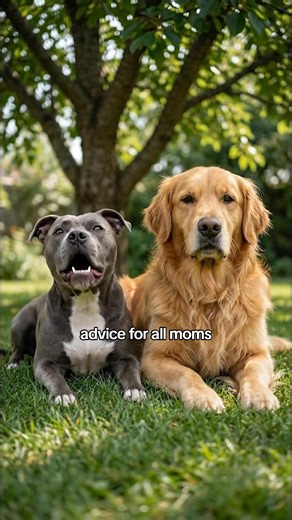 Choose Dog: Fun with Chuck & Barry Show Pets