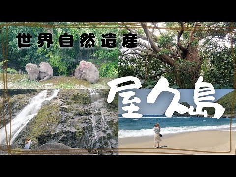 【世界遺産の宝庫 屋久島】島巡り一周、おすすめ観光スポット編