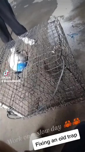 Repairing a Crab Trap for a Successful Catch