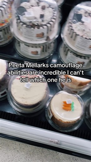 Explore Peeta Mellark's Camouflage Skills in Hunger Games