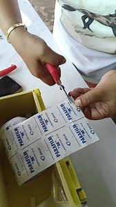 cutting parafilm for grafting | Blooming Hardinera Rosalinda Mercado