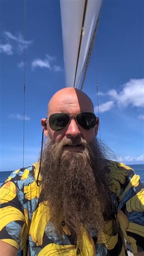 Sailing Seafinn on Instagram: "Finally back on the water."
