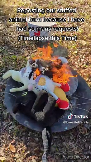 I have had so many requests to do another stuffed animal burning video! So I reposted my last one in timelapse now! I'll do more stuffed animal burns soon I guess! #enjoy #burningstuffedanimals #stuffedanimals #burningvideos #burning #burnbabyburn #playwithfire #fire #tootheless #winniethepooh #eyore #bunny #rabbit #comedy #fires #viral #lol #fyp #foryoupage #haha #timelapse #strange #requested