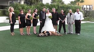 Judgy Cat Hates Weddings