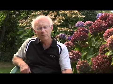 The Man Who Saved the Black Robin