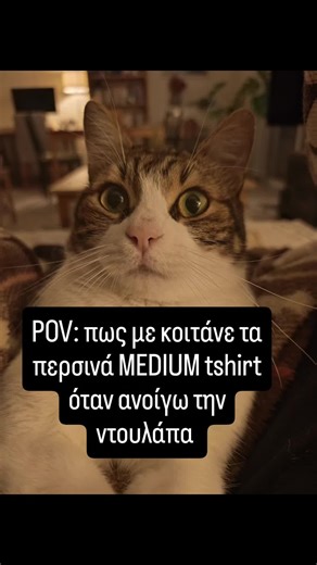 Ας κατεβάσουμε τα καλοκαιρινά σιγά σιγά #cat #funny #pet
