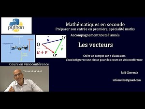 MATHÉMATIQUES EN SECONDE. EXERCICES SUR LES VECTEURS