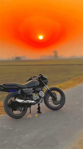 🔥Lion King X | Luxury Bike Modification🏍⚡️#trending #shorts #splendor