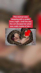 This woman was sleeping with a snake every night. Until the day the vet showed her what was really inside of him ! #LearnOnTikTok #truestory #snake #dailynews #news #media #latestnews #breakingnews #newsupdate #worldnews | Daily content