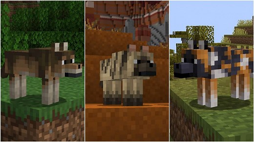 5 best Minecraft seeds for finding wolves