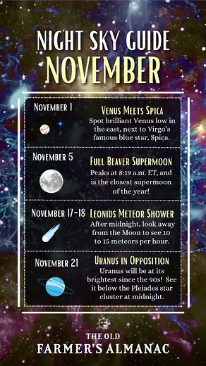 103K views · 1.2K reactions | Did y'all catch the Full Beaver...