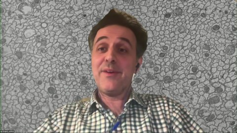 New scientific progress in groundbreaking analysis of a fly’s brain