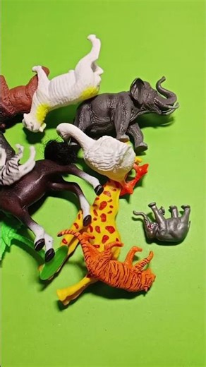 MEGA ANIMAL PILE! 🐅🌴 #Shorts