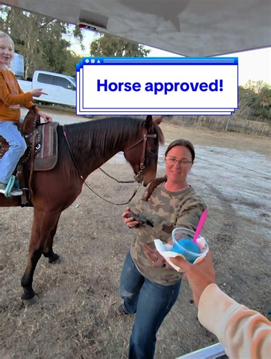 Horse Approved: Best Italian Water Ice for Horses