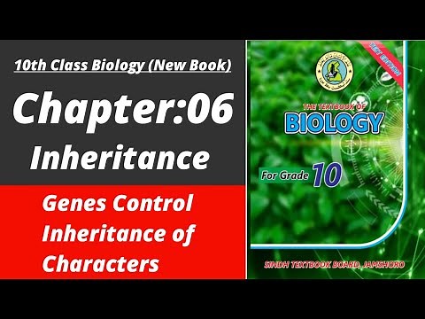 Genes control inheritance of characters class 10 | Biology class 10 chapter 5