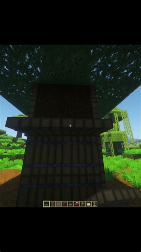 Spruce Tree House 🌳 #shorts