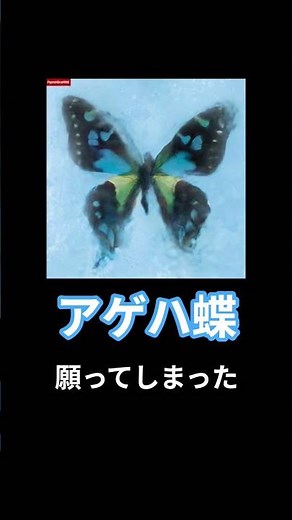 アゲハ蝶の歌詞！