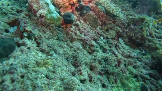 Videos de marcelo rodriguez (@marcelo.rodriguez758) con “sonido original - marcelo rodriguez”