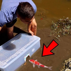 This FIsh Trap is EPIC 🤯 | RAWWFishing